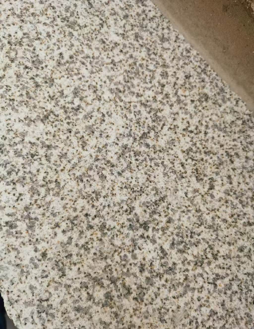 呼伦贝尔 黄金麻中黄光面