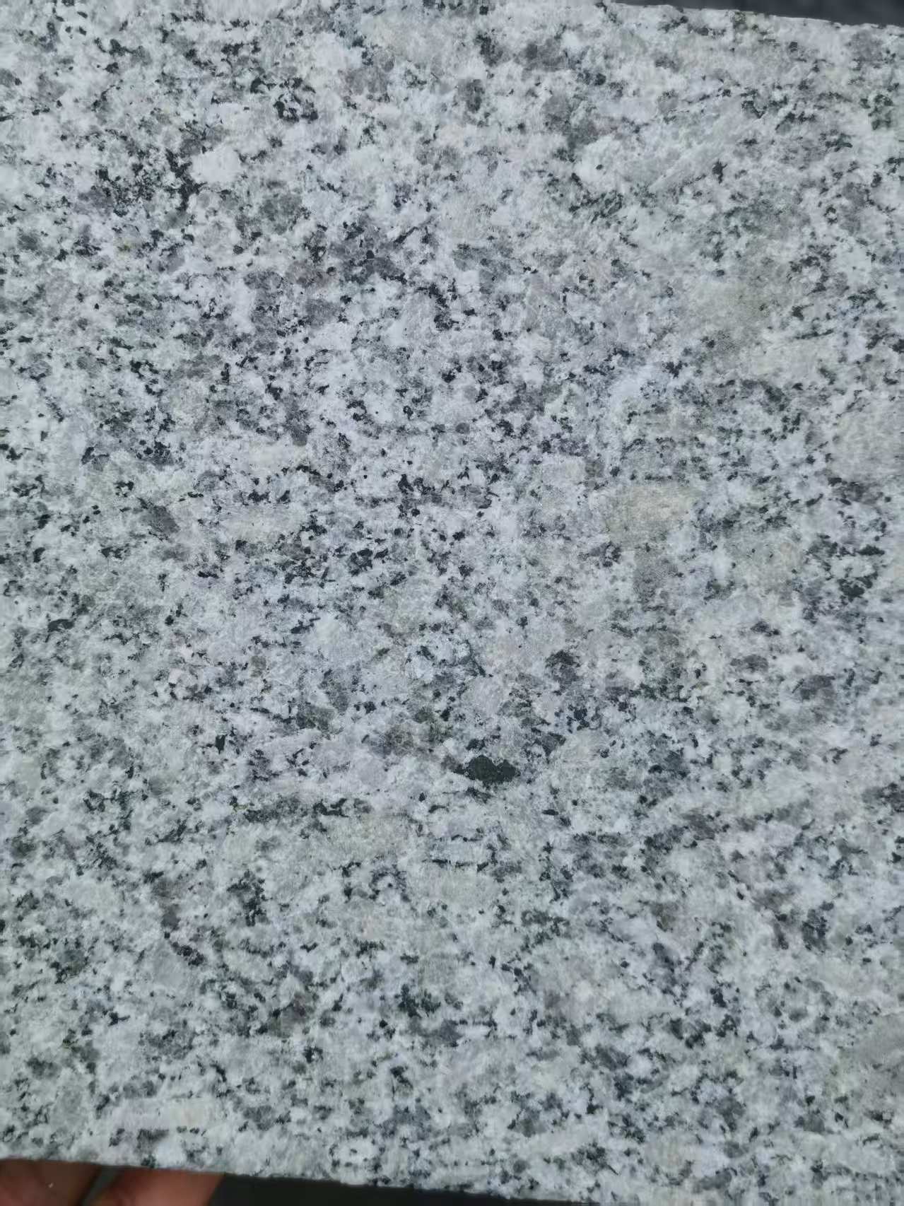 呼伦贝尔 芙蓉白火烧面