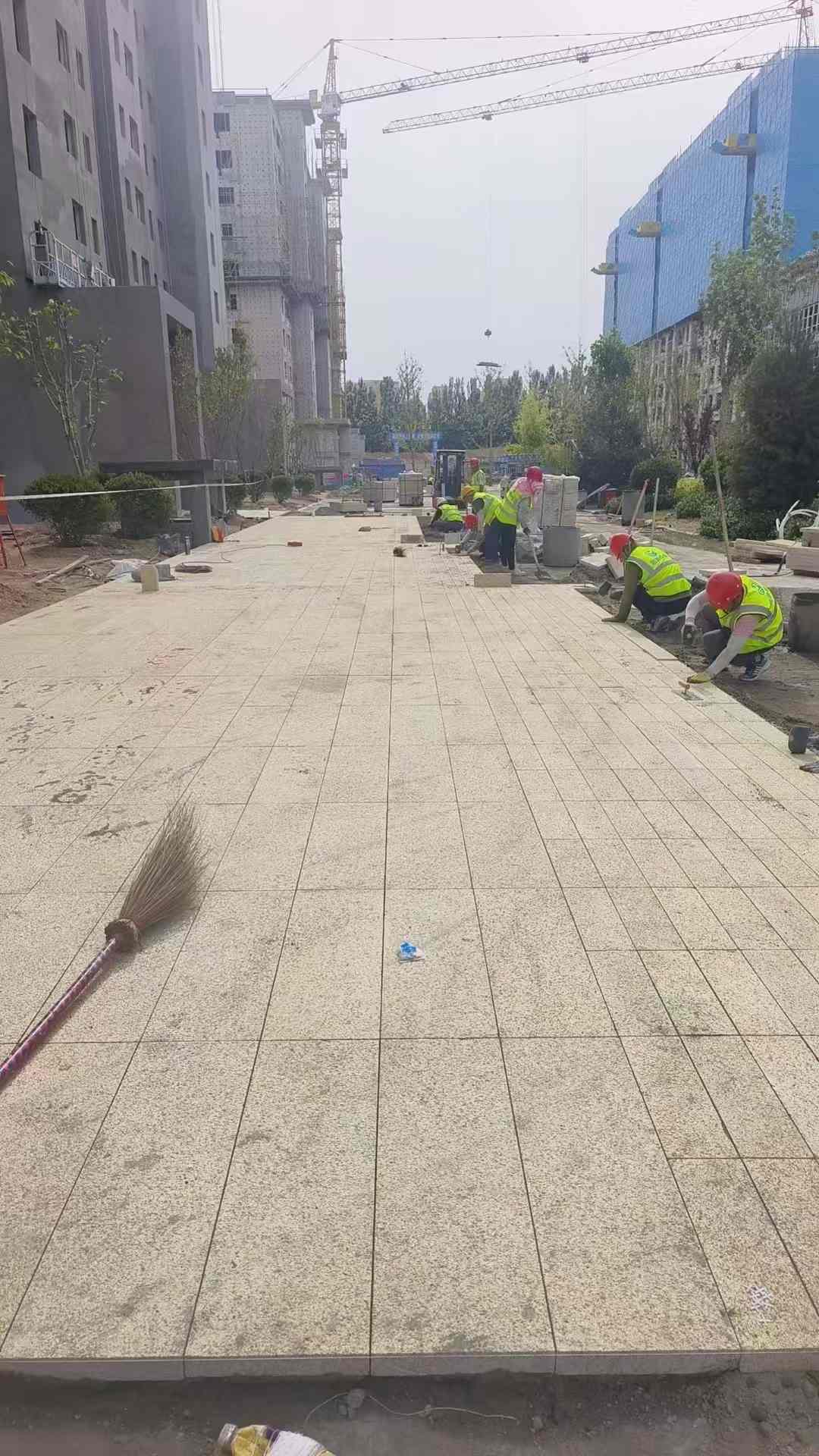 呼伦贝尔黄金麻荔枝面地铺案例