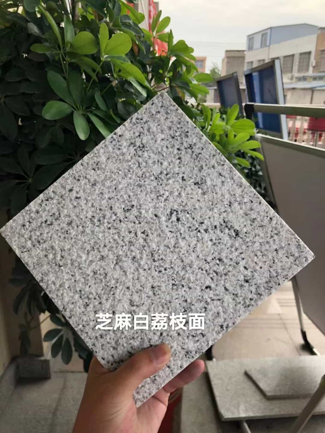 呼伦贝尔 芝麻白荔枝面干挂