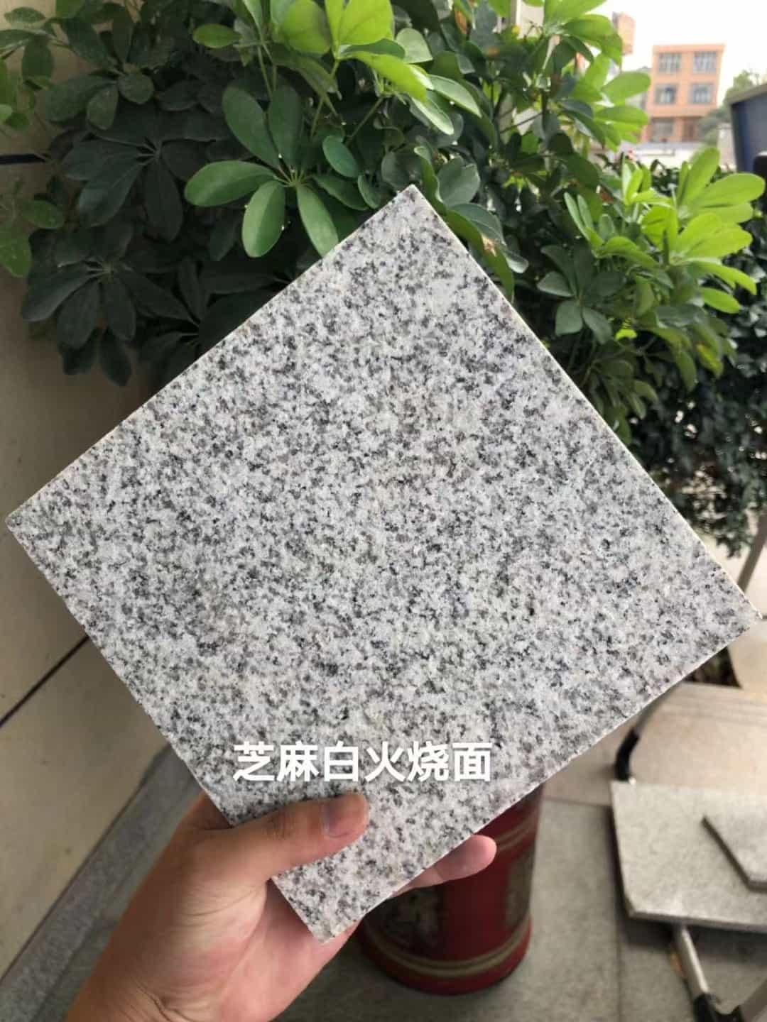 呼伦贝尔芝麻白火烧面地铺